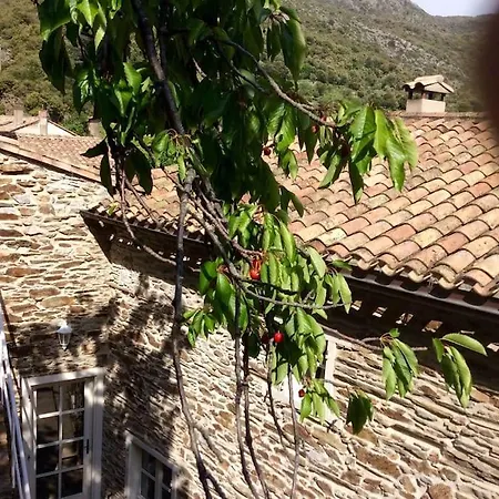 Villa Les Terrasses *